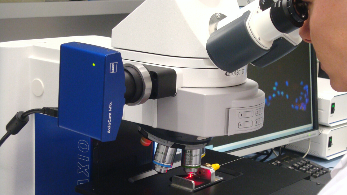Zu sehen ist ein Arzthelfer der an einem Mikroskop Tumorzellen untersucht
